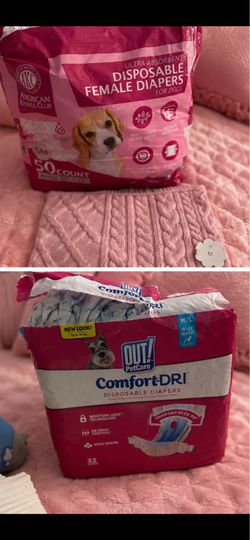 Dog 🐶 supplies