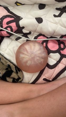 RARE DUMPLING