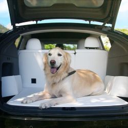 Fit Juniper Model Y Tesbeauty Cargo Liner for Tesla Model Y 5 Seater Trunk Mats, All-Weather, Vegan Leather on top/Soft Velcro at Bottom/Memory Foam i
