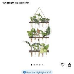 Mkono Hanging Plant Propagation Set