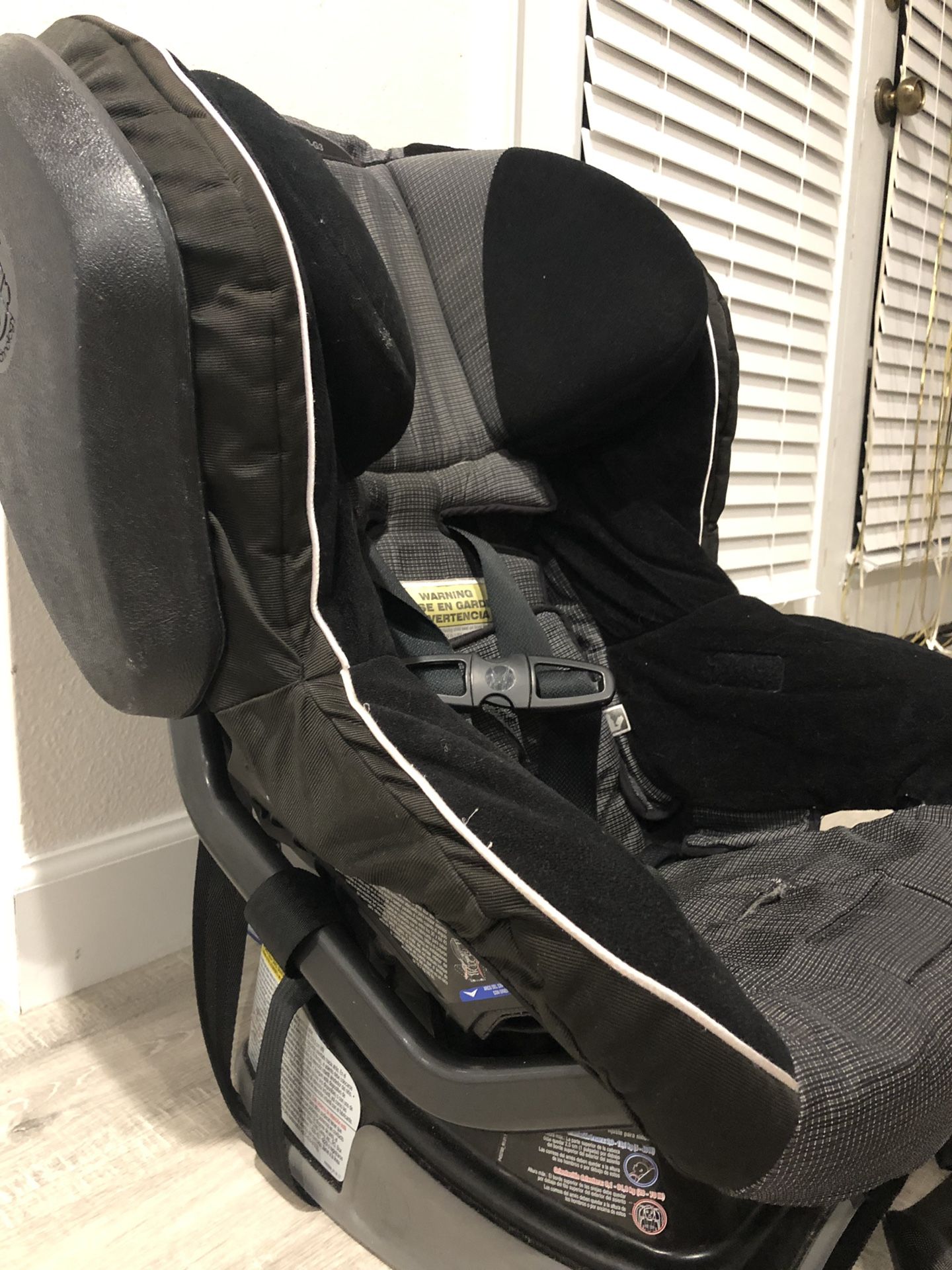 car seat compatible with maxi cosi zelia Maxi-Cosi Pro 5-in-1 Modular Travel System Caspian Caviar Bennye Noble Serenity 9 SAPG::bugaboo-kangaroo-complete-stroller-bassinet-bundle ~ Options::Black / Forest Green / Forest Green Size:8'6
