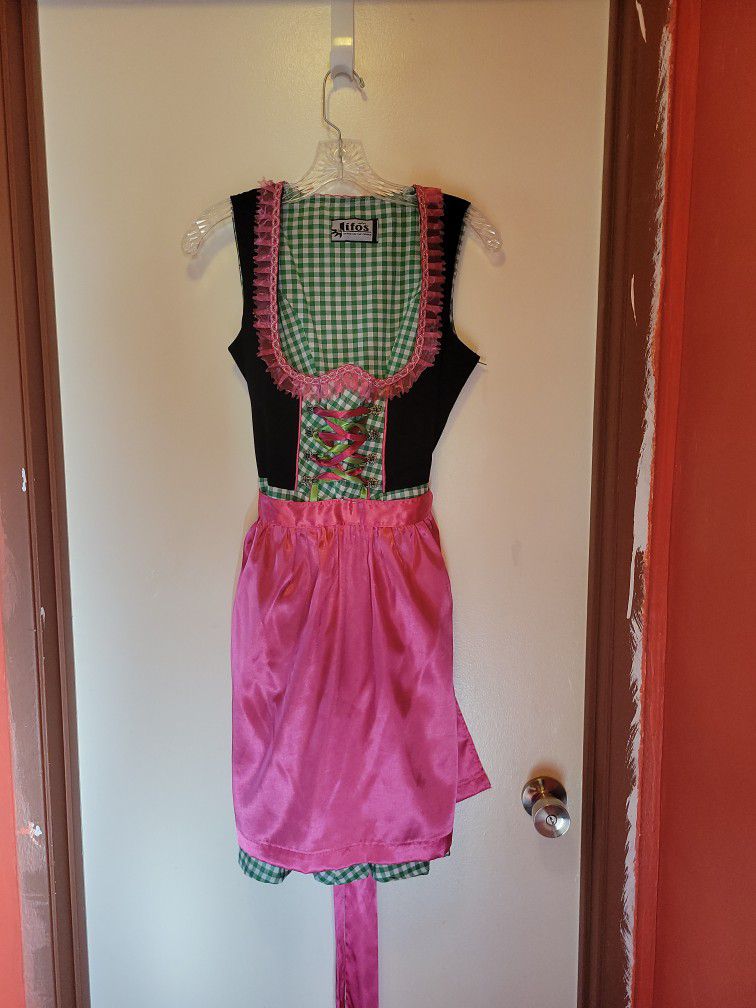 Fancy dirndl- German Dress 