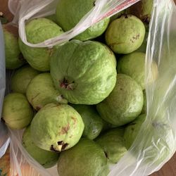 Guava 4$ Pound