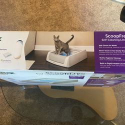 Self Cleaning Litter Box