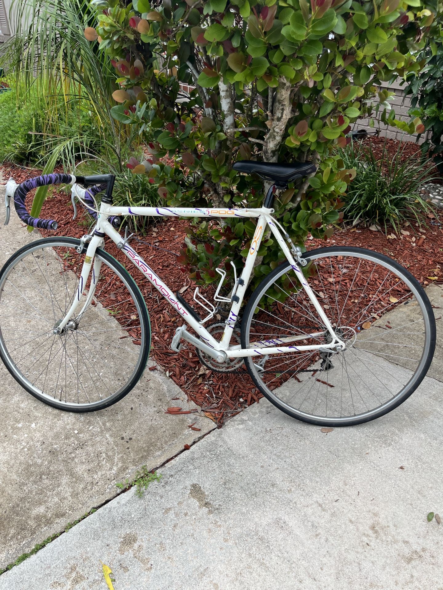 Vintage Schwinn Paramount Road Race Bike Bicycle Shimano 105