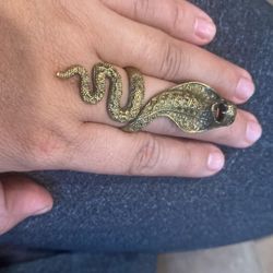 Aniyo De Ser piente 925 Chapado En Oro 