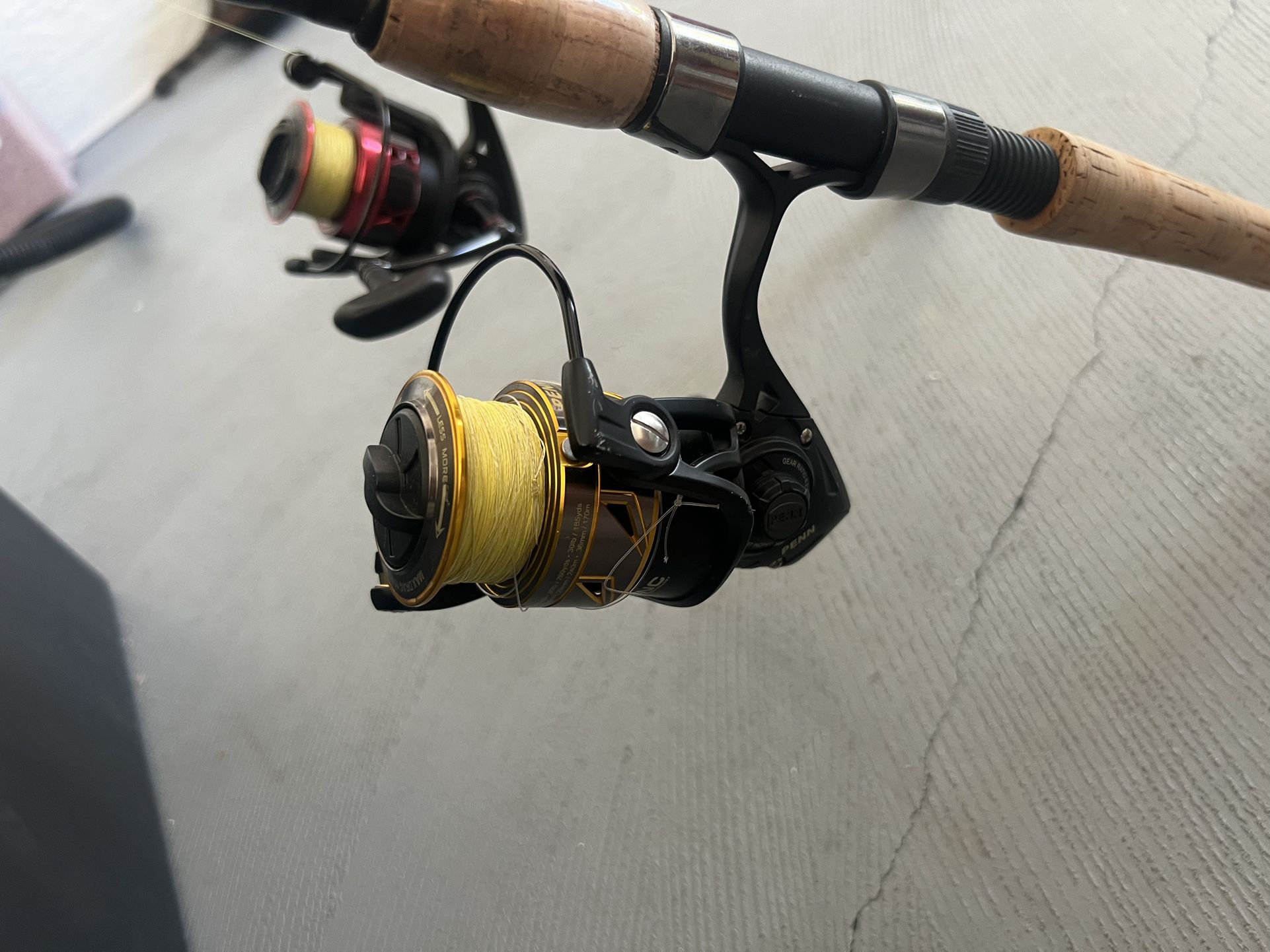 2 Penn Reels And 2 Poles