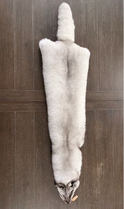Real Blue Fox fur pelt XXX large