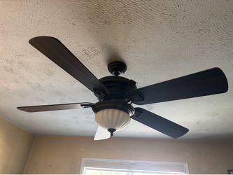Fan with light