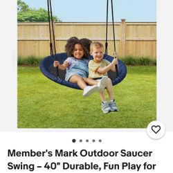 Members Mark 40” Web Swing