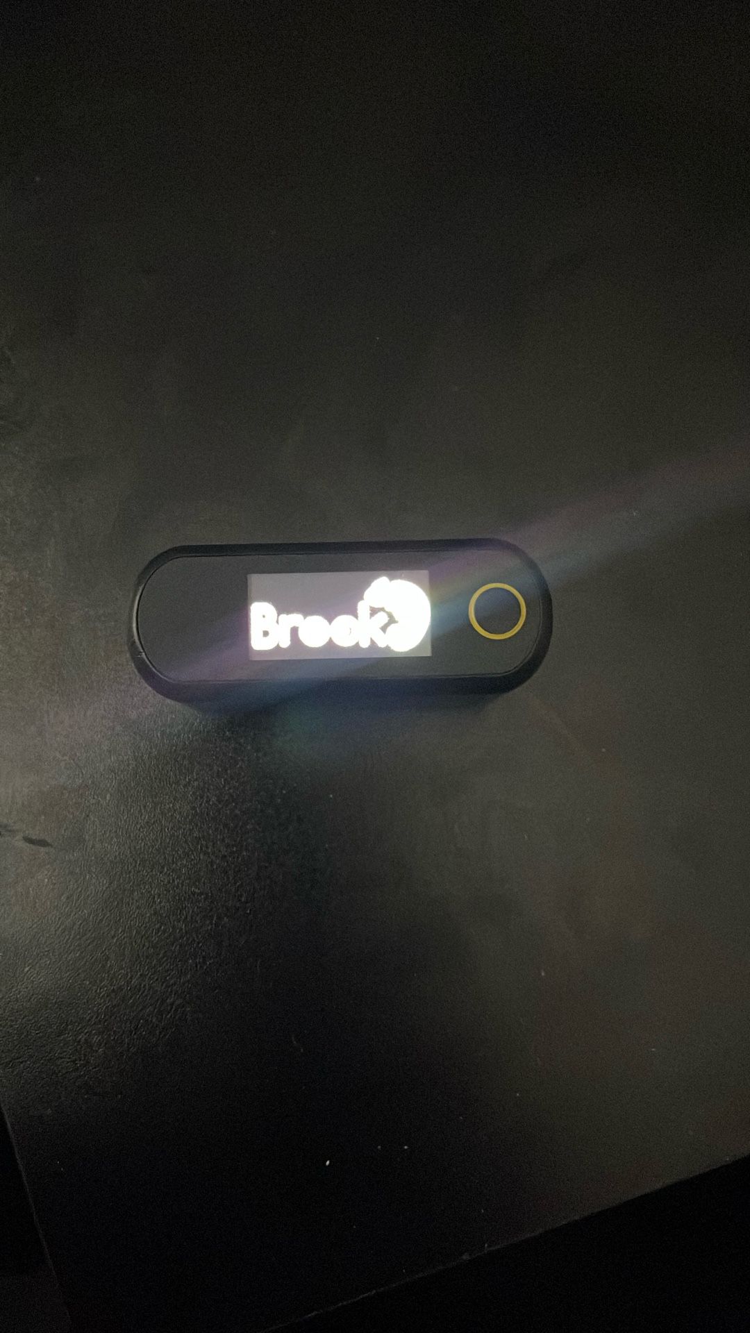 Pocket Auto Catch Carry