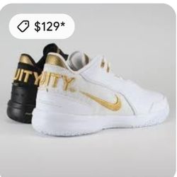 Nike Shoes LeBron James 