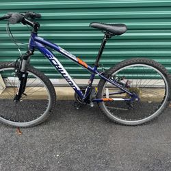 Boys 24” Schwinn Ranger
