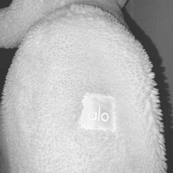 ALO Sherpa Jacket With Hood