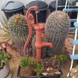 Red Jacket Antique Water Pump