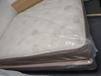 Spring Air Pillowtop Queen With Box Sping