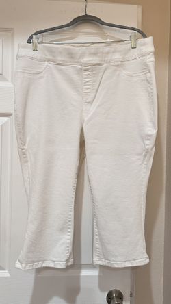 Lane Bryant High Waisted Skinny Fit Jeggings