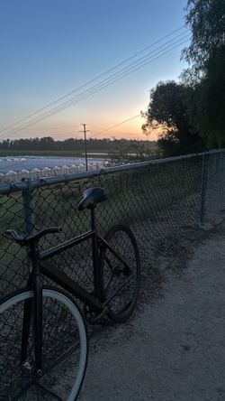 FIXIE NEED GONE!!!