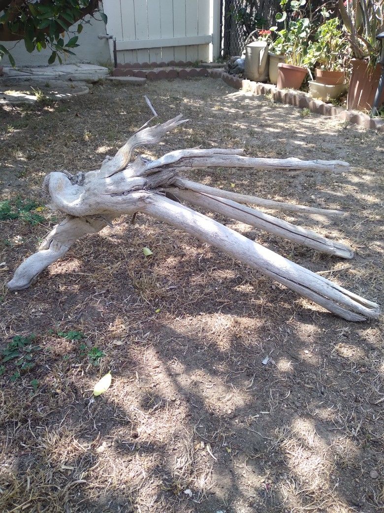 Driftwood For Aquariums Terrariums Decor ..