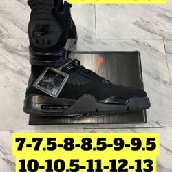 Black Cat 2025 Version