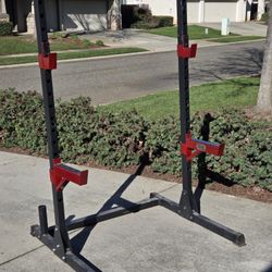 Squat Rack/Stands And Weight Tree