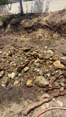 Free Rocks.