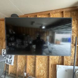 Big 65” Vizio TV 