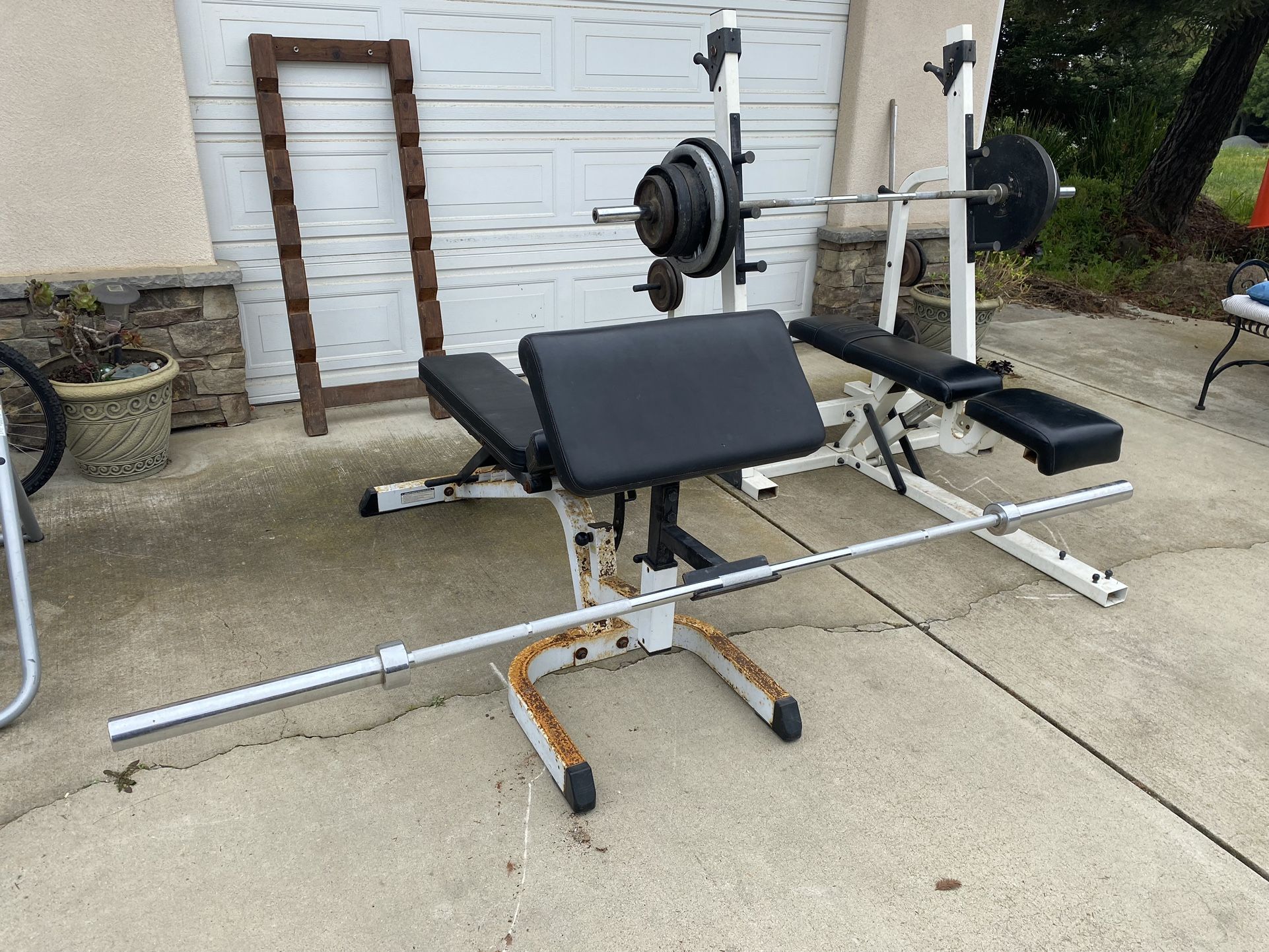 Preacher Curl Bench