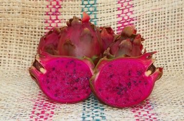 Cutting dragon fruit neon