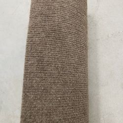 Indoor/Outdoor Area Rug