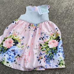 Size 3 Beautiful Dress Brand New With Tags Attached 