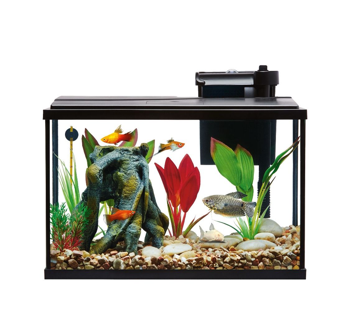 BRAND NEW FISH TANK