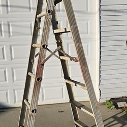 Aluminum 6 Ft Folding Ladder Now Probably Not Honey He's Got A Million Things On His Plate How Many Years Ago