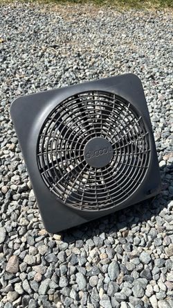 10 in Fan