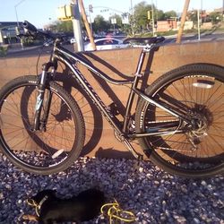 Specialized 29er 