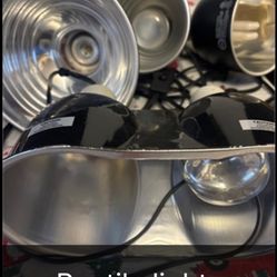 Reptile Lights Various