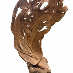 Teakroot Driftwood Floor Decor Art Design Sculpture
