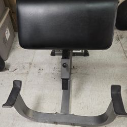 COMMERCIAL PARABODY 800 SERIES ARM CURL BENCH w/CURLING BAR AND WEIGHTS