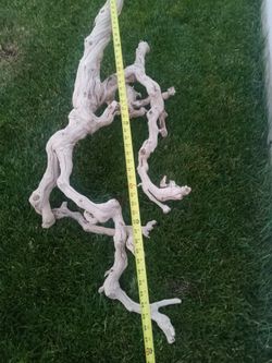 Driftwood 