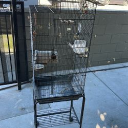 Bird Cage 