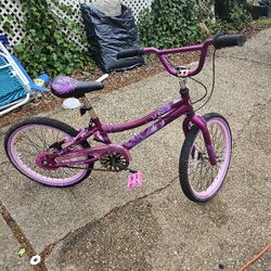 Prices Firm.. Little Girls 20 Inch Bicycle