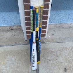 Youth Baseball Bats & Training Bat