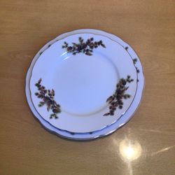 Japan made  Ms China Porcelain dishes