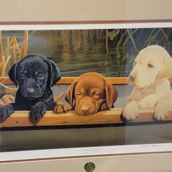 2016 Ducks Unlimited Green Wing Member Sharon Anderson 3 of a Kind Dog 