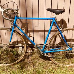 Vintage Schwinn Traveler Bike