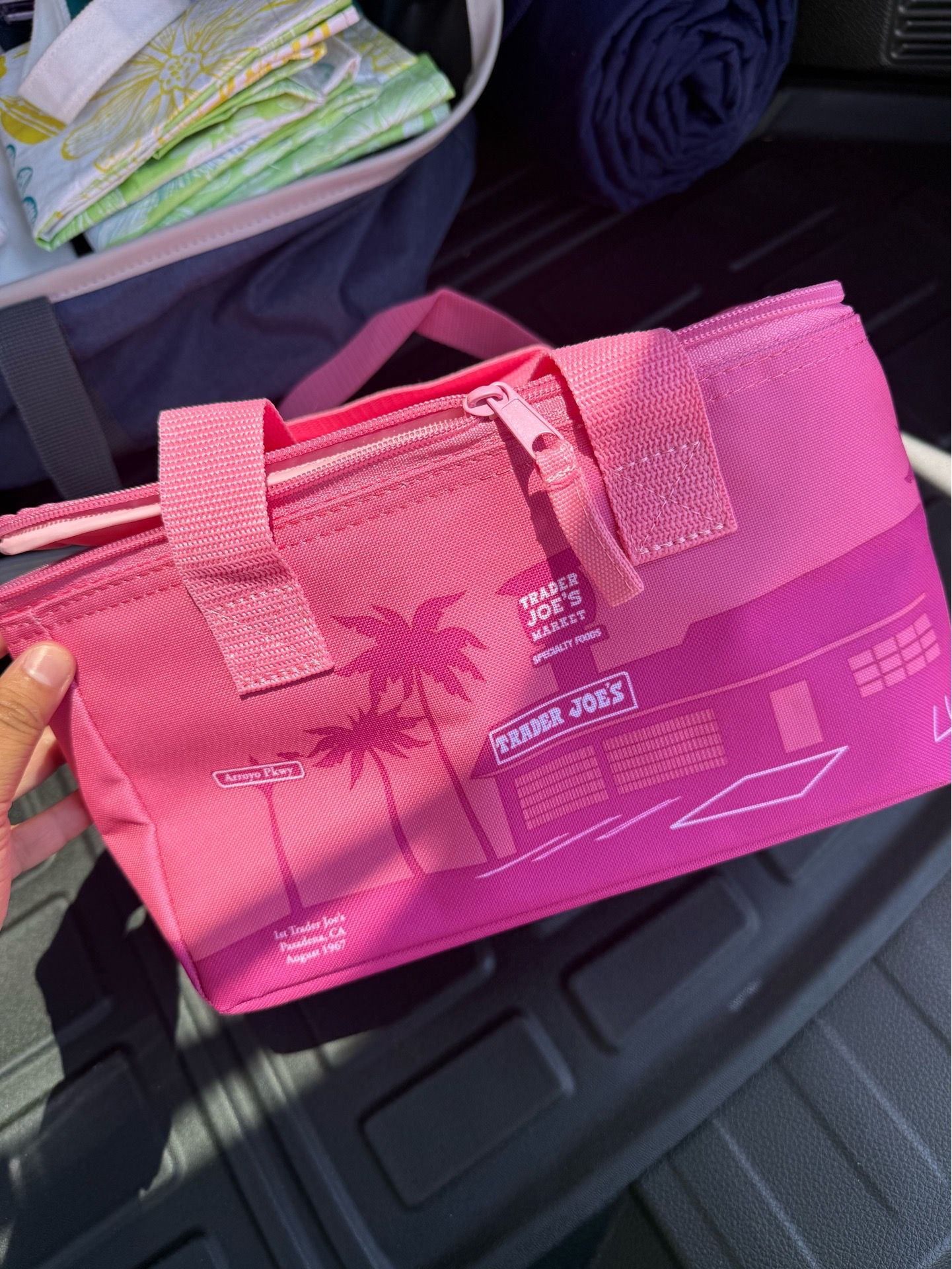 Mini Pink Trader Joe’s Insulated bag