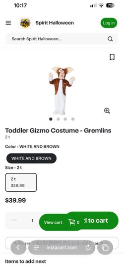 Kids Halloween costume