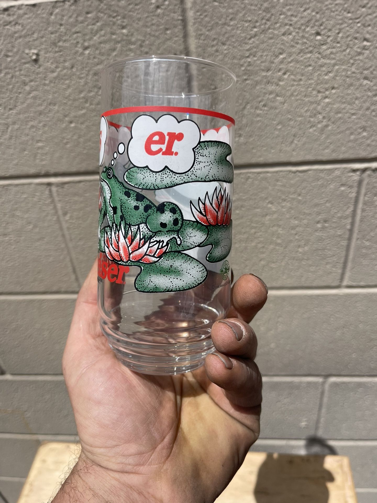 Vintage Budweiser Frog Glasses Set Of 8
