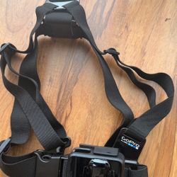 GoPro harness And Mount