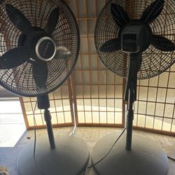 Lasko Fans 